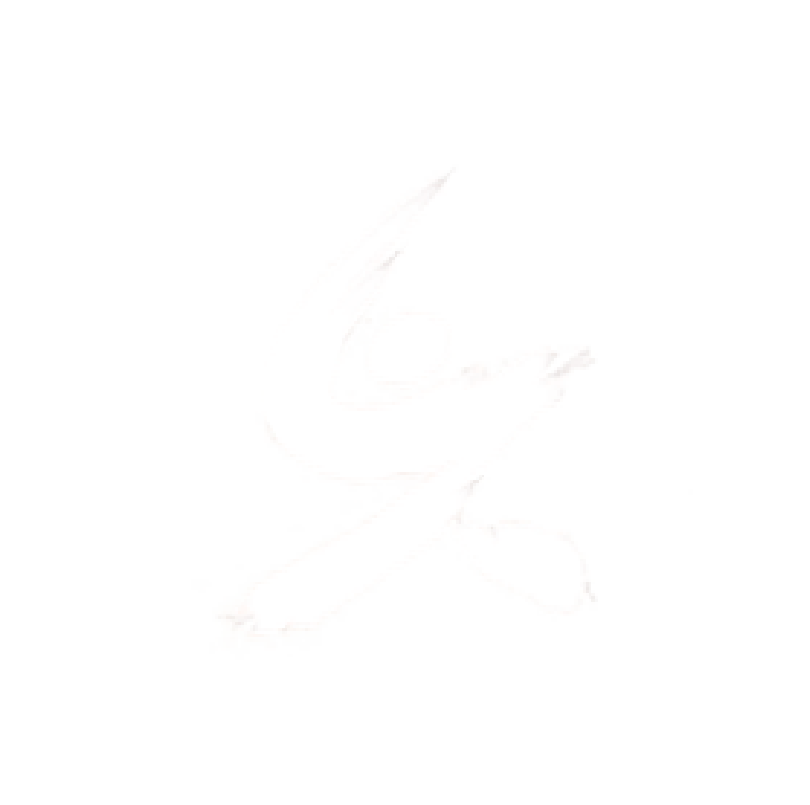 國家級(jí)專精特新“小巨人”